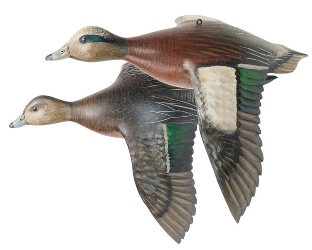 Mike Borrett – Widgeon Pair – 2025