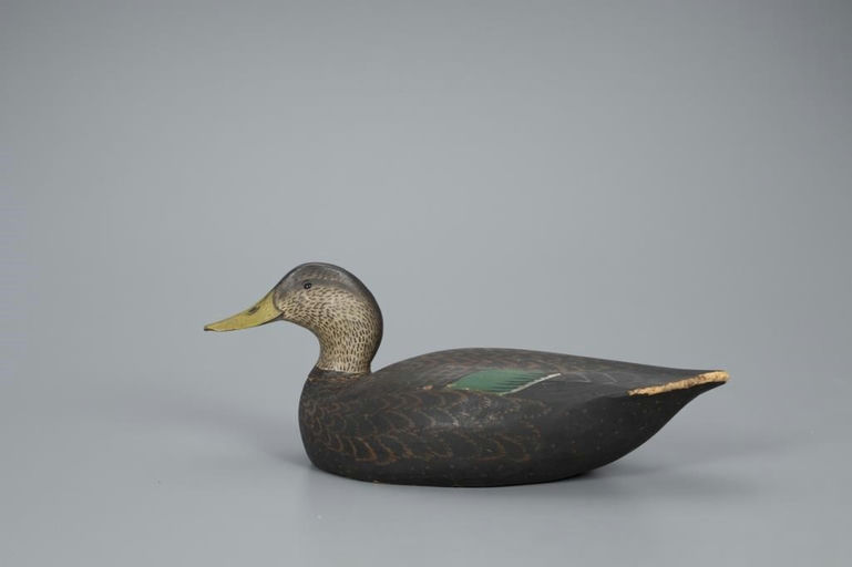 Ward Brothers – Outstanding Black Duck – 2020