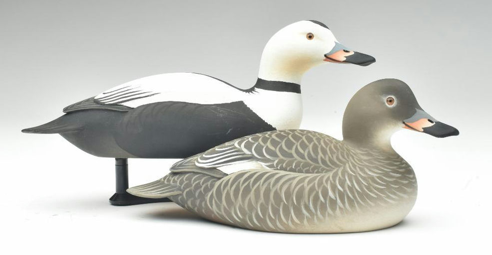 Oliver Lawson – Pair of Labrador Ducks – 2023
