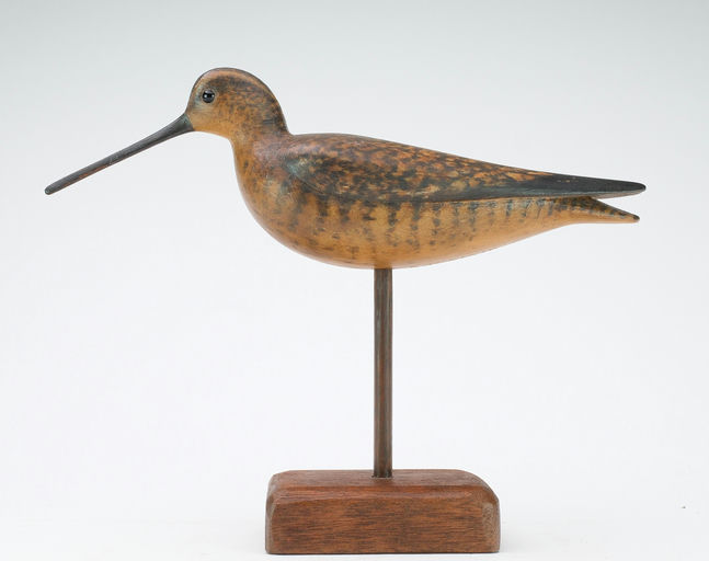 Mark McNair – Dowitcher – 2024