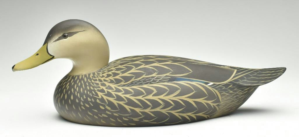 Oliver Lawson – Black Duck – 2023