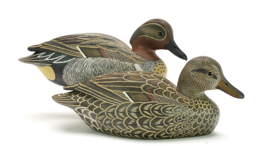 John McLoughlin – Green-winged Teal – 2024