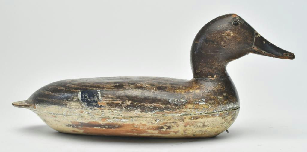 Robert Elliston – Mallard Hen – 2023