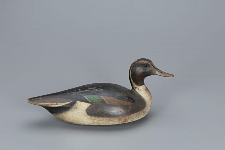 Ward Brothers – Pintail Drake – 2019