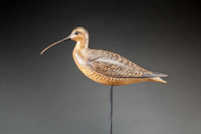 Mark McNair – Curlew – 2015