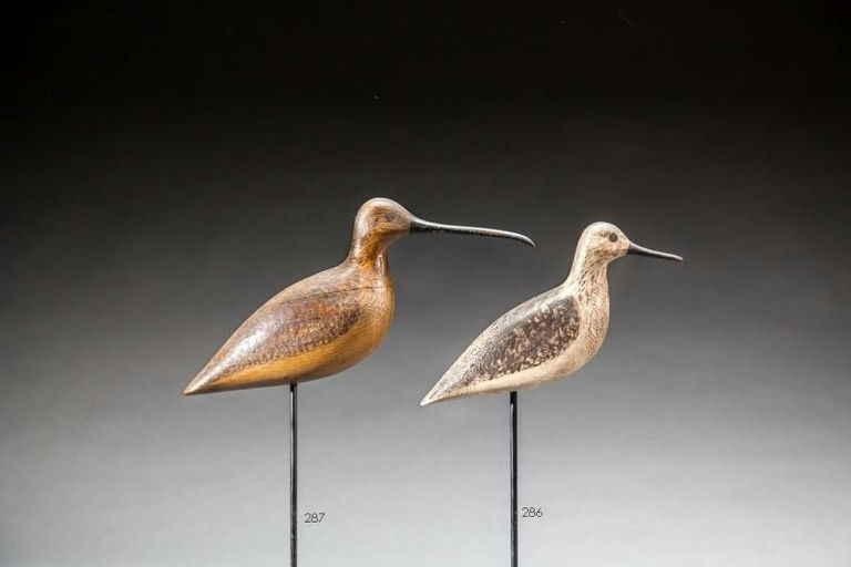 Harry V. Shourds – Yellowlegs – 2016