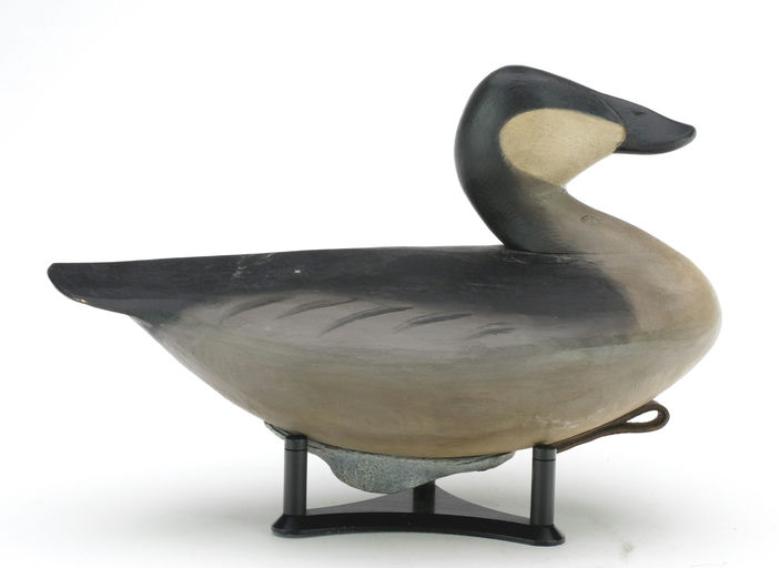 Pete Peterson – Ruddy Duck – 2024