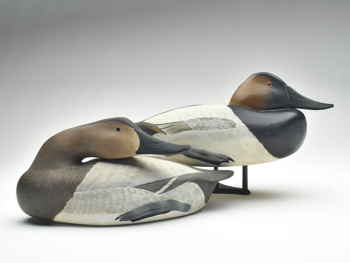 Corb Reed – Canvasback – 2023
