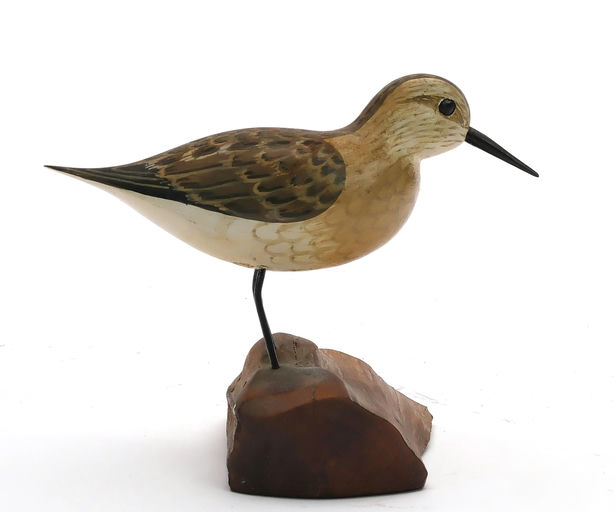 Harry V. Shourds – Sanderling – 2024