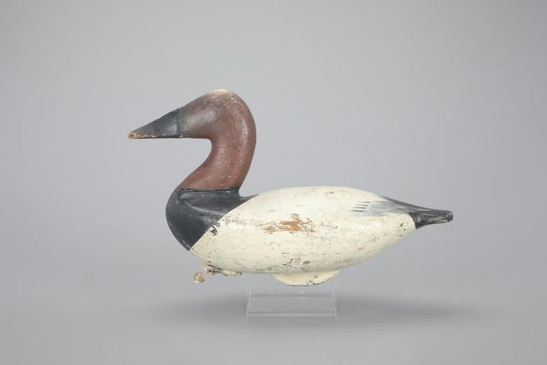Charles Nelson Barnard – Canvasback Drake – 2023