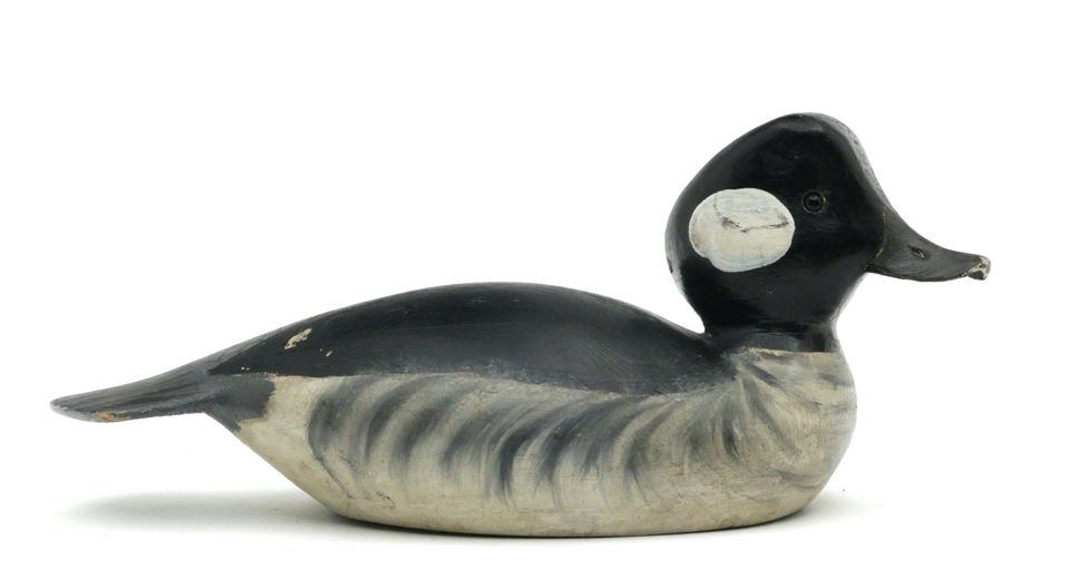 Ward Brothers – Bufflehead – 2025
