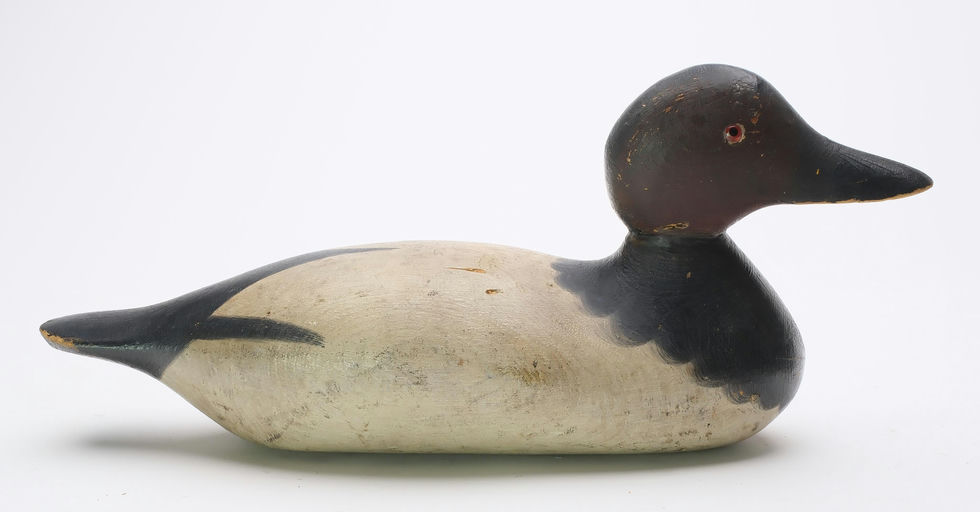 Mason Decoy Factory – Canvasback – 2024