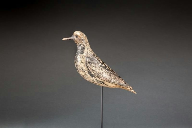 Charles Sumner Bunn – Black Bellied Plover – 2015