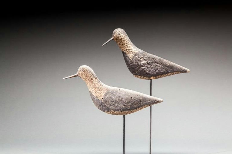 Thomas Gelston – Black-Bellied Plover Pair – 2016