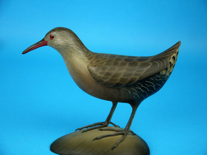 George Strunk – Virginia Rail – 2026