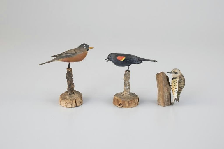 Peter Peltz – Miniature Robin, Black Bird, and Flicker – 2026
