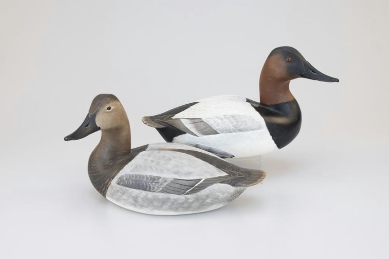 Corb Reed – Canvasback Pair – 2026
