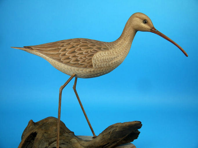 Harry McChesney – Whimbrel – 2026