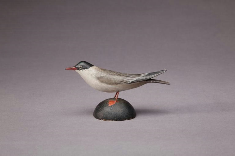 Elmer Crowell – Miniature Arctic Tern – 2012
