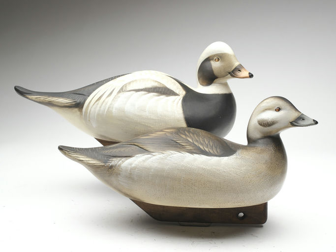 Jim Schmiedlin – Pair of Long Tail Duck – 2023
