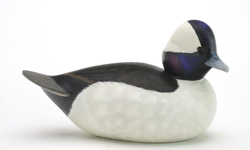 Ben A. Heinemann – Bufflehead – 2024