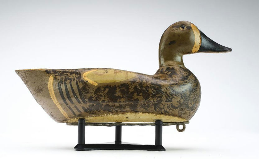 Charles Schoenheider, Sr. – Blue-winged Teal – 2024