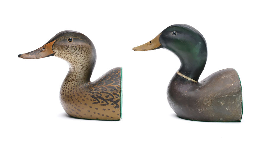 Ward Brothers – Pair of mallards – 2025