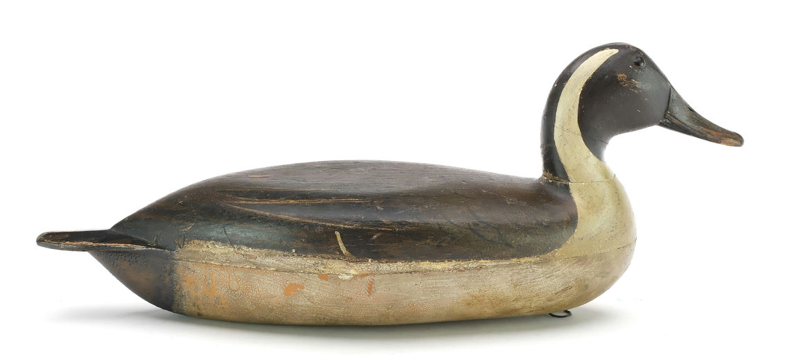 Robert Elliston – Pintail – 2024