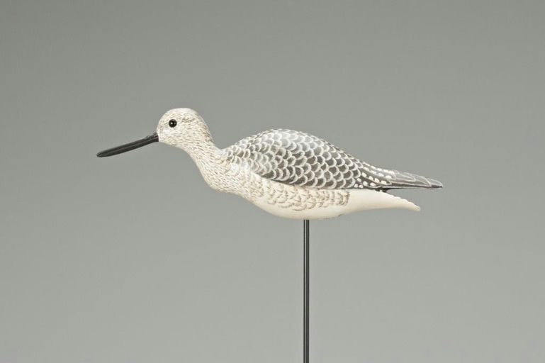 Cigar Daisey – Minnow-In-Throat Yellowlegs – 2018