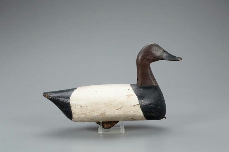 John Austin – Canvasback – 2021