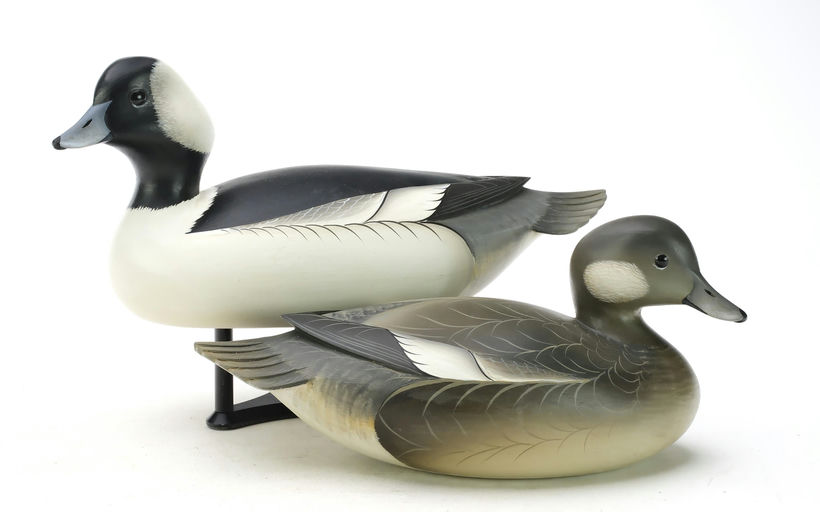 George Strunk – Pair of Bufflehead – 2025