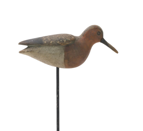Mark McNair – Red Knot – 2024