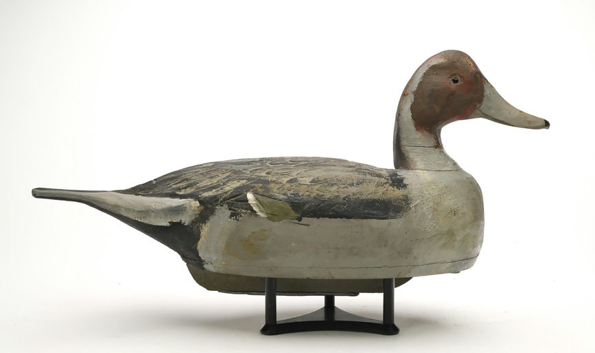 Ben Schmidt – Pintail – 2025