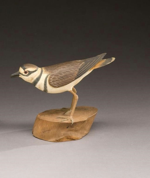 Davison B. Hawthorne – Life-Size Killdeer – 2009