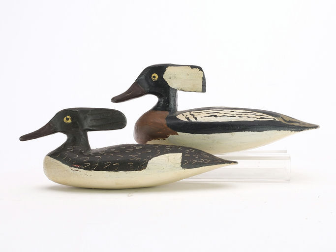 Doug Jester – Merganser – 2024