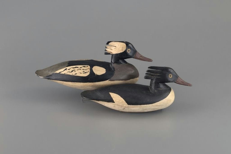 Doug Jester – Merganser Pair – 2025