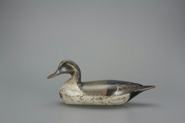 Charles Perdew – Pintail Drake – 2018