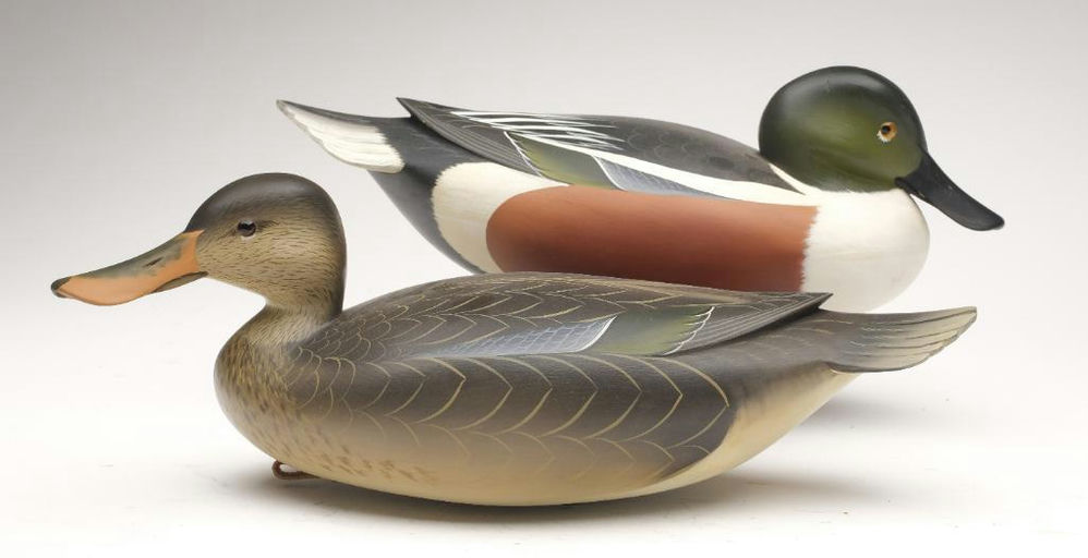 George Strunk – Pair of Shoveler – 2023