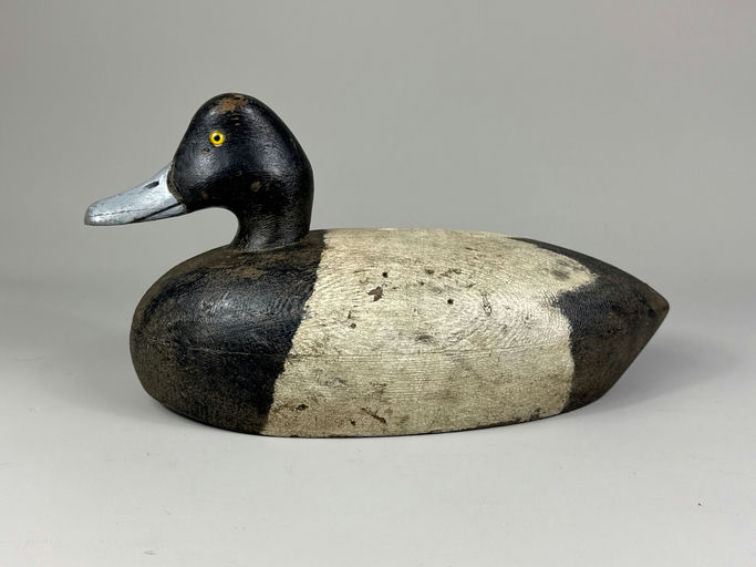 Clark Madera – Scaup – 2026