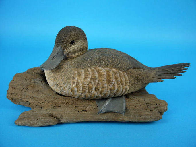 Harry McChesney – Ruddy Duck Hen – 2026