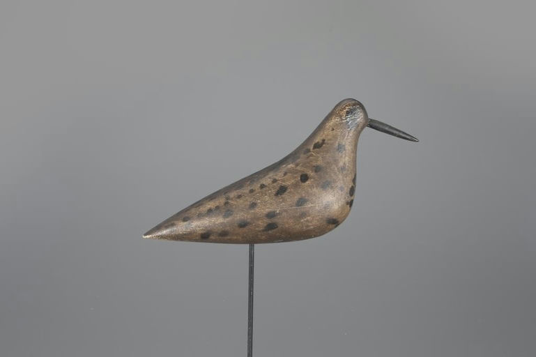 Theodore Rogers Rig – Rogers Rig Dowitcher – 2024