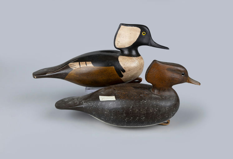 W.M. Oler – Hooded Merganser Pair – 2026