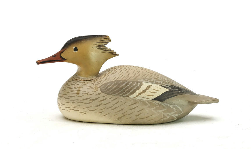 Oliver Lawson – Miniature Merganser Hen – 2025