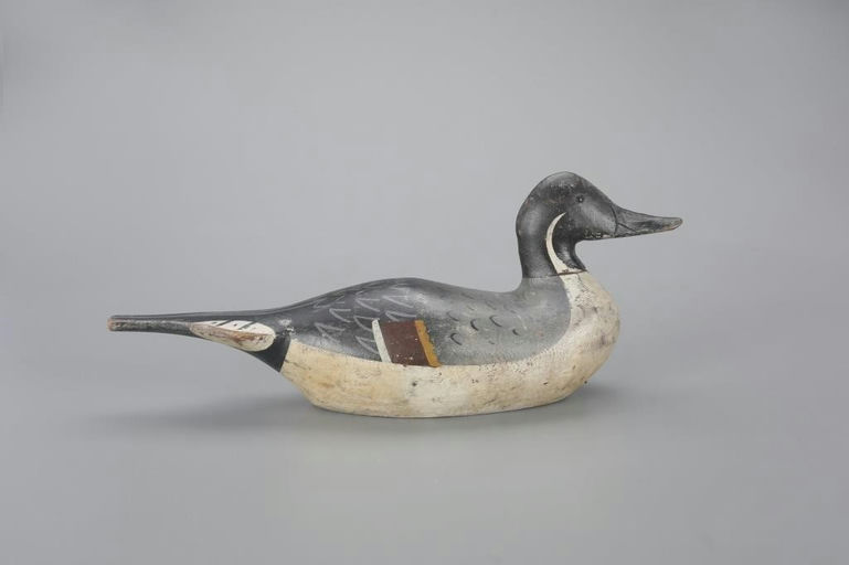 Emil Peterson – Pintail Drake – 2023