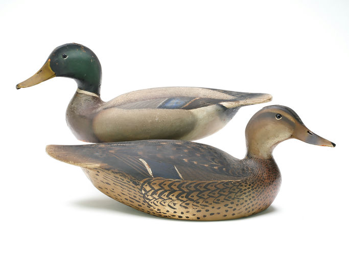 Ward Brothers – Pair of mallards – 2025