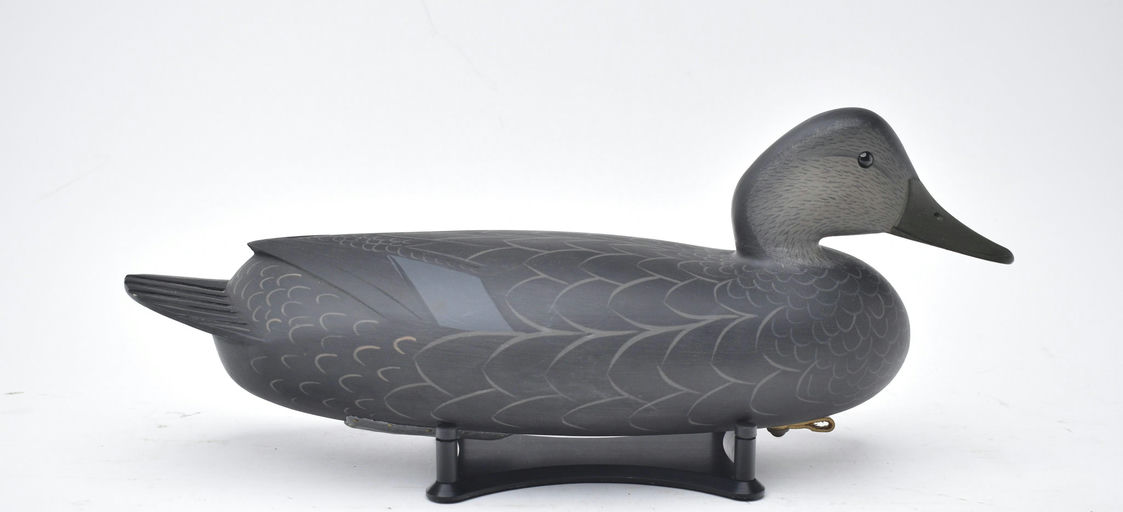 George Strunk – Black Duck – 2025