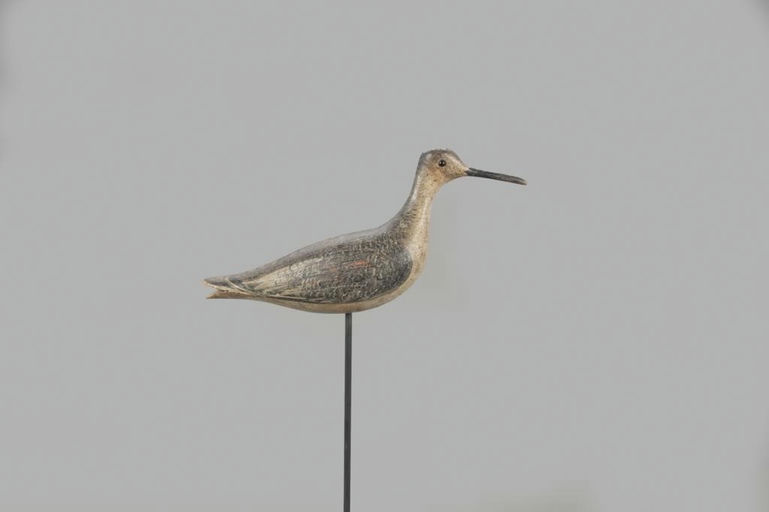 John Dilley – Early Split-tail Willet – 2021