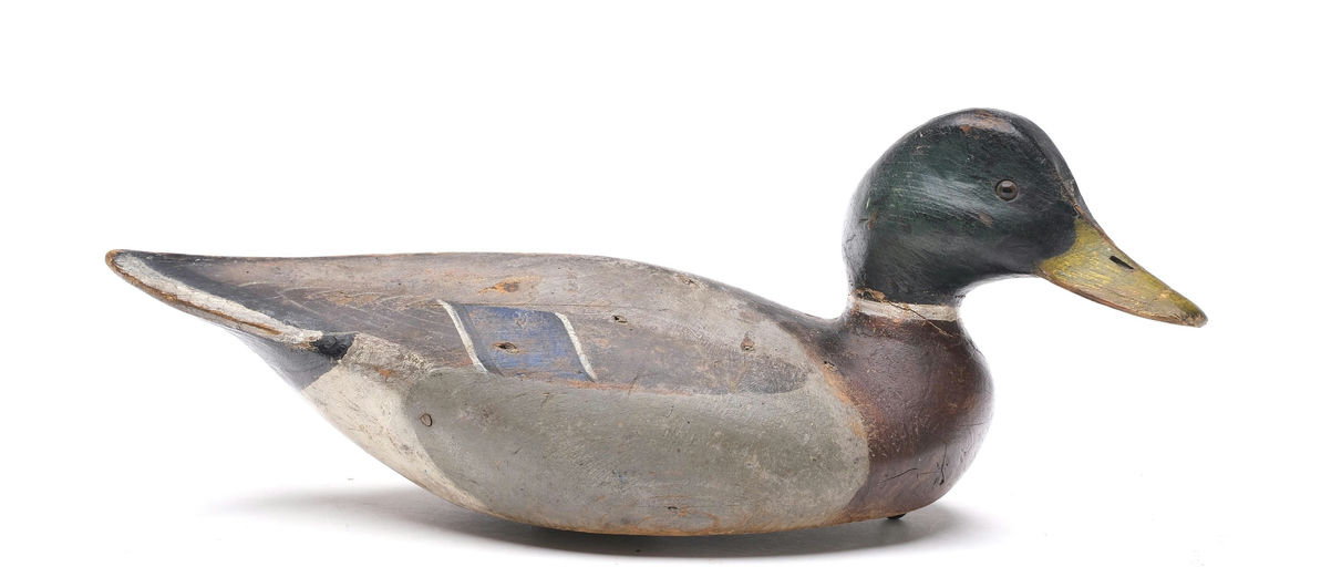 Ward Brothers – Mallard – 2026