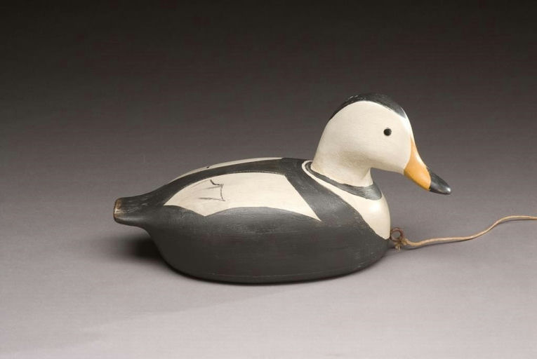 Ralf Coykendall, Sr. – Labrador Duck – 2009