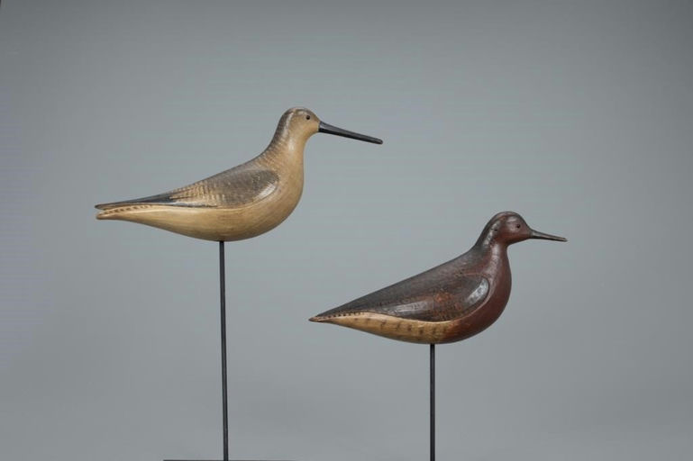 Mark McNair – Red Knot and Dowitcher with Raised Wings – 2020